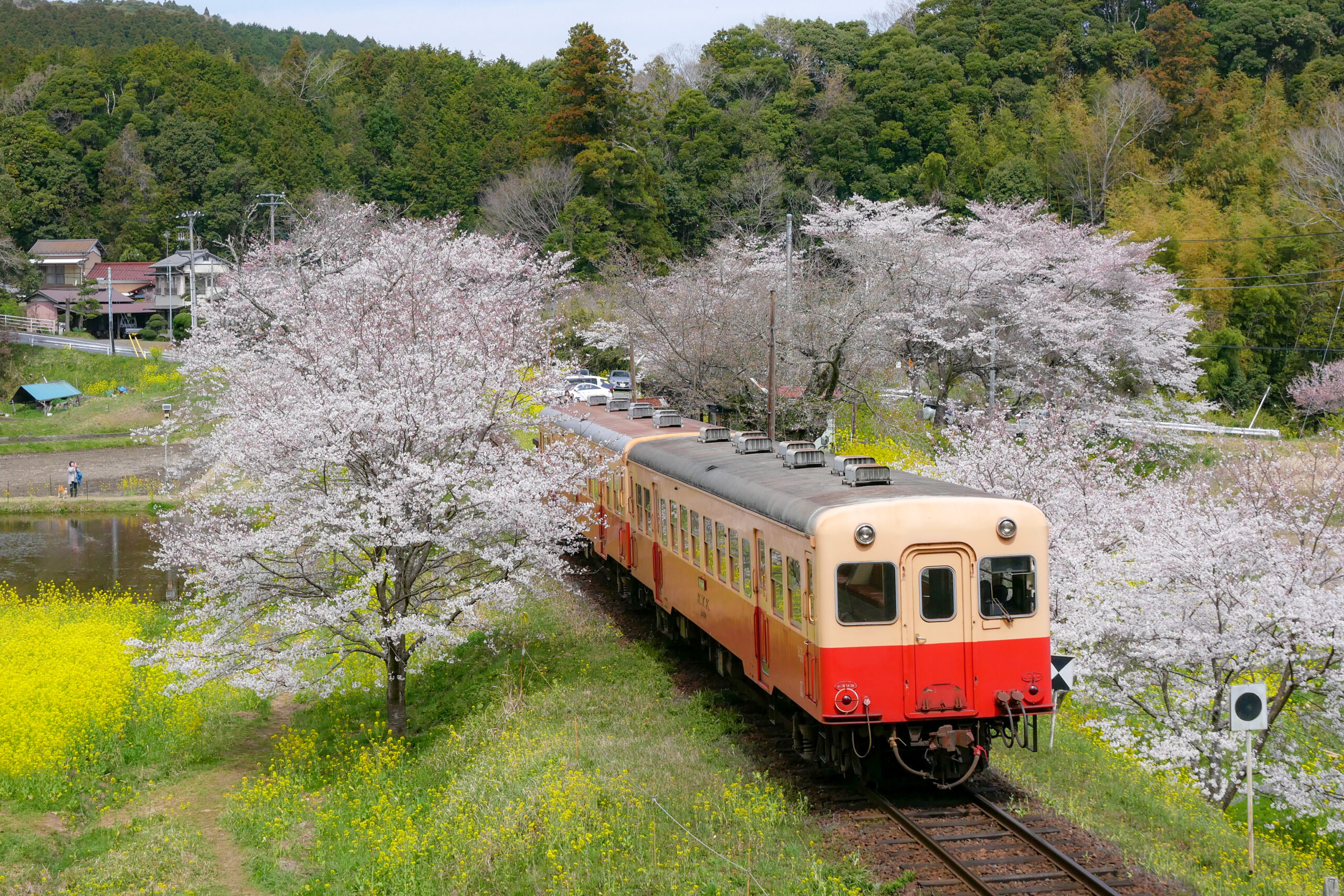 小湊鐵道の車両風景